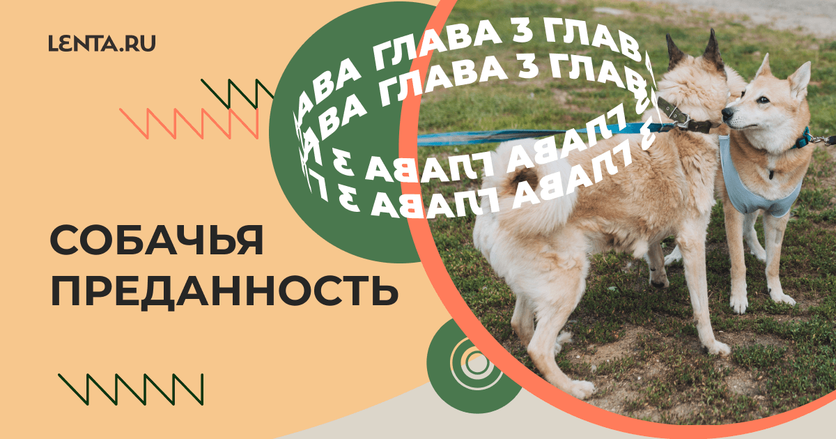 Собачья преданность